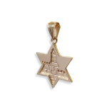 14K Gold Jerusalem Star of David Pendant