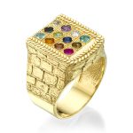 Choshen Semi-Precious Stones Men’s Signet Ring in 14K Gold