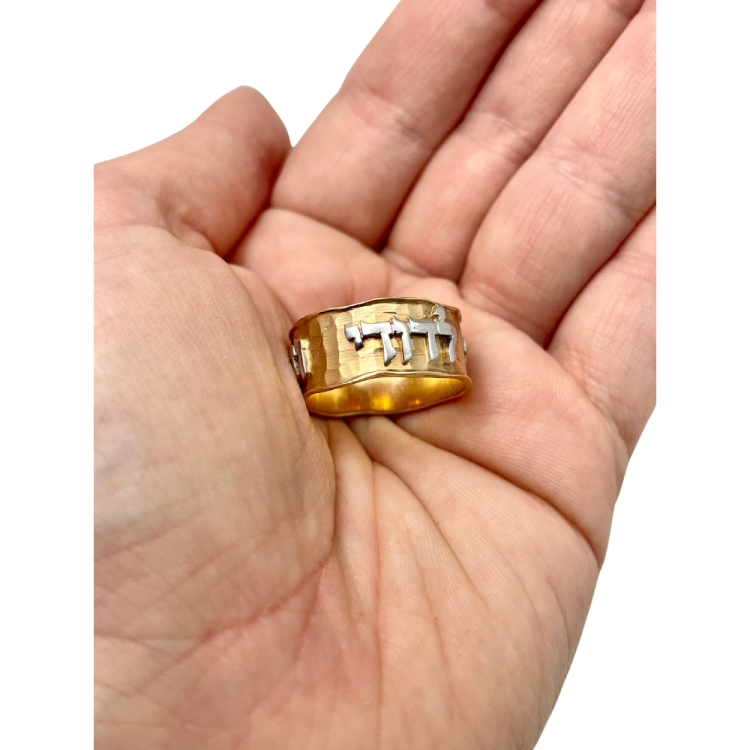 14k Yellow and White Gold Hammered Ani Ldodi Ring