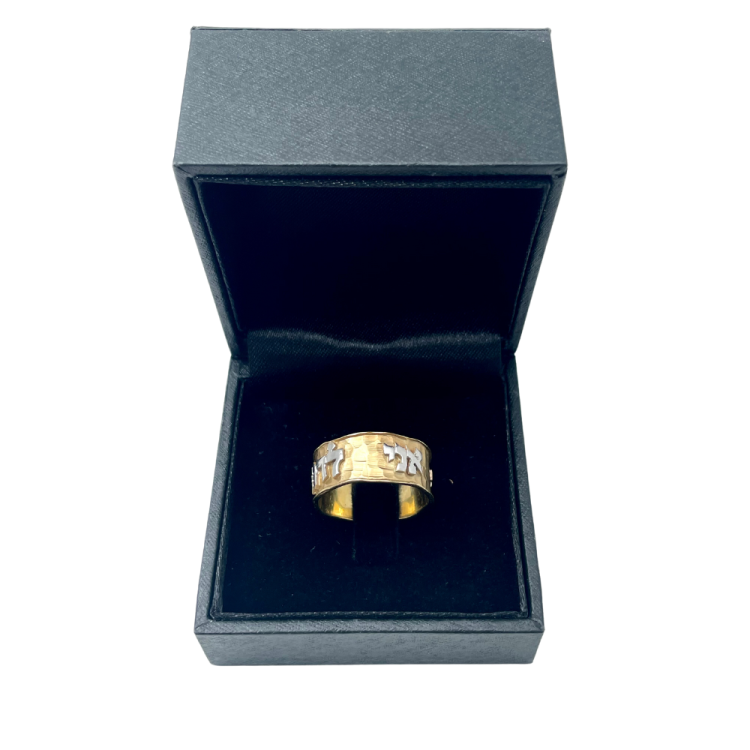 14k Yellow and White Gold Hammered Ani Ldodi Ring
