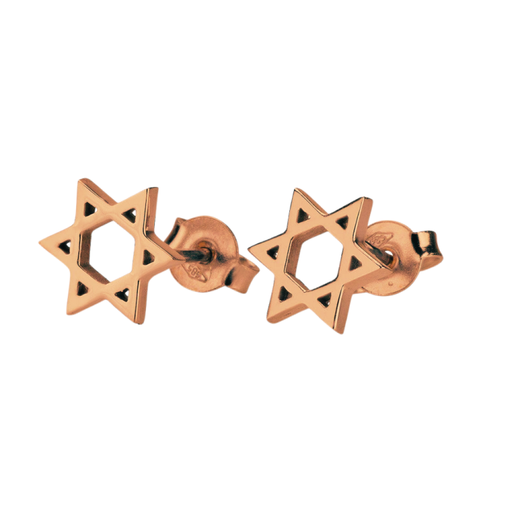 14K Gold Star of David Earrings