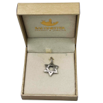 Star of David Textured Interwoven 3D Pendant in 14K Gold