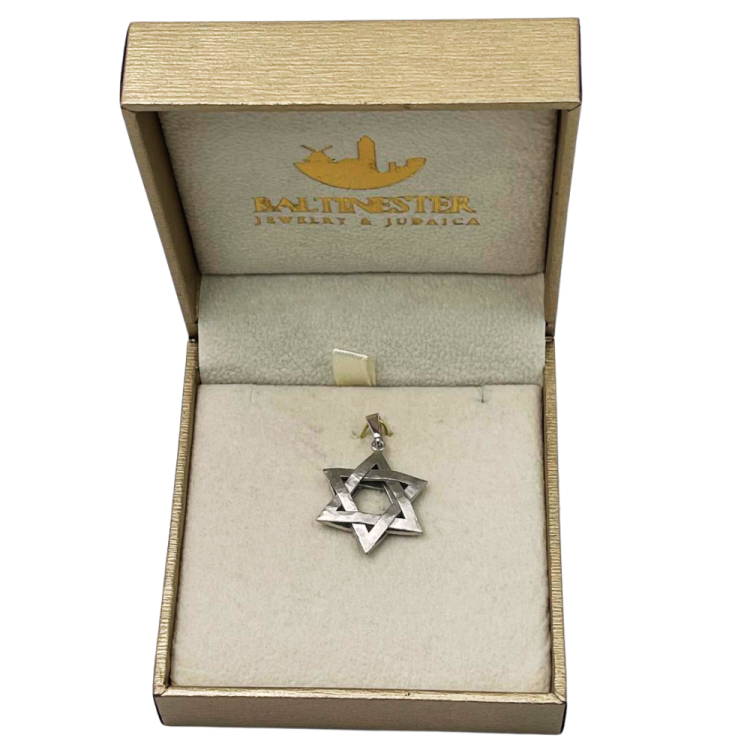 Star of David Textured Interwoven 3D Pendant in 14K Gold