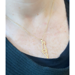 Map of Israel Star of David Pendant in 14K Yellow Gold