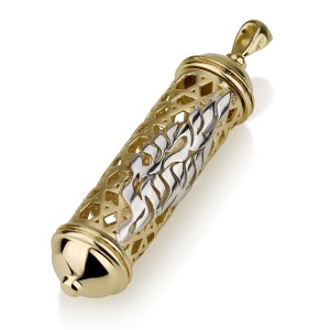Mezuzah Pendant - 14K Gold with Star of David design and Shema Yisrael