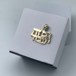 14K Yellow Gold This Too Shall Pass Hebrew Pendant