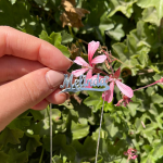 Silver Underlined Script Name Necklace