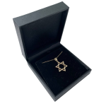 Star of David Pendant in 14K Gold