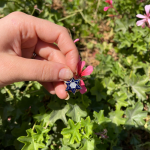 Star of David Pendant – 14K Yellow Gold Blue Enamel Diamond Embedded
