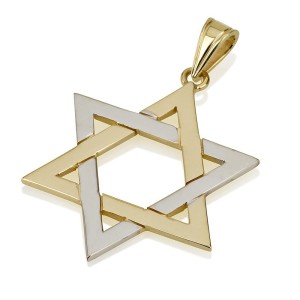 14K Dual-Tone Gold Interlocked Star of David Pendant