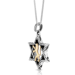 Lion of Judah & Star of David Necklace in 9K Gold and Silver