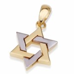 14K Two Tone Gold Thick Star of David Pendant