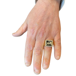 Lion of Judah Ring – Bob Marley Style 14K Yellow Gold Diamond Onyx