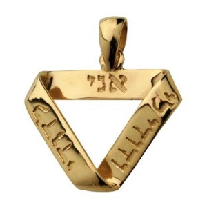 14k Gold Ani L'Dodi Infinity Pendant