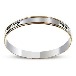 Silver and Gold Ani LeDodi Bangle Bracelet