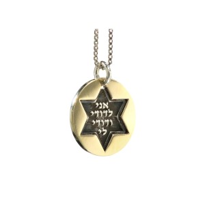 Ani Ledodi Silver Star of David Pendant