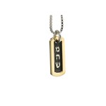 Silver and Gold Kabbalah Tag Necklace