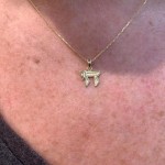 14K Gold Outlined Mini Chai Pendant