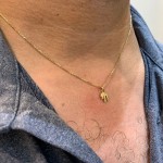 14k Gold Miniature Chai Pendant