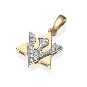 White & Yellow Gold Dove Diamond Star of David Pendant
