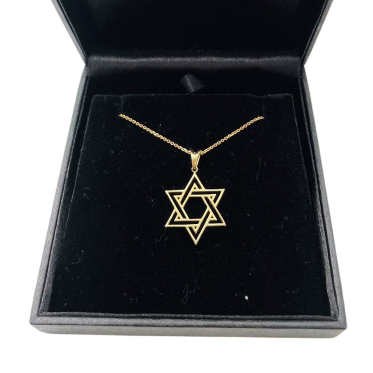 Star of David Double Outline Interwoven Pendant in 14K Gold