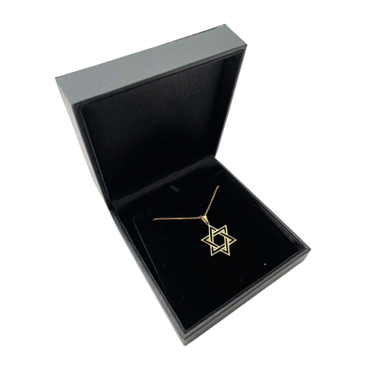Star of David Double Outline Interwoven Pendant in 14K Gold