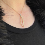 Diamond Studded Map of Israel Pendant in 14K Gold