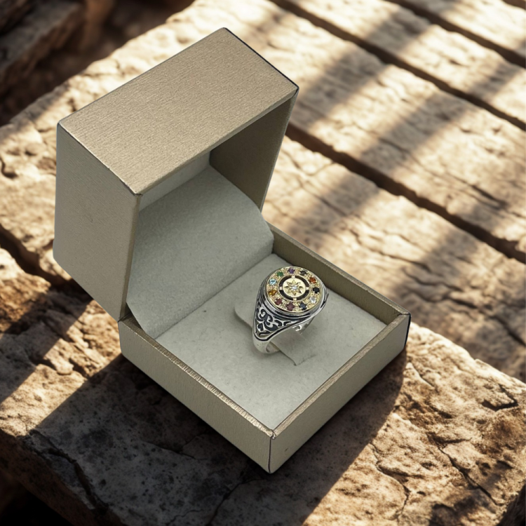 Hoshen Round Signet Ring in 14K Gold & 925 Silver with Natural Gemstones