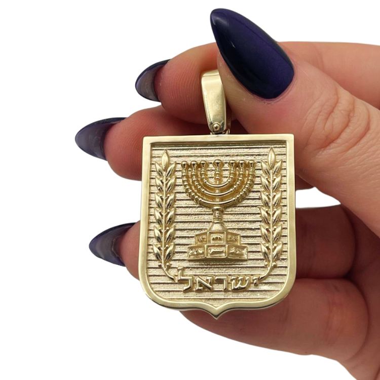 Emblem of Israel Pendant for Men in 14K Gold - Large