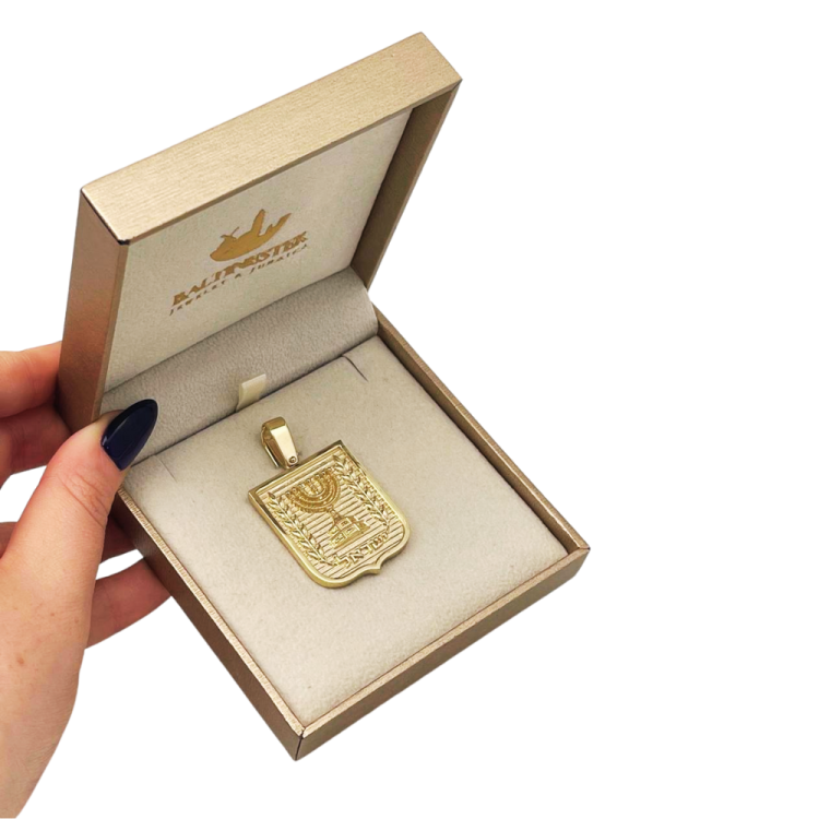 Emblem of Israel Pendant for Men in 14K Gold - Large