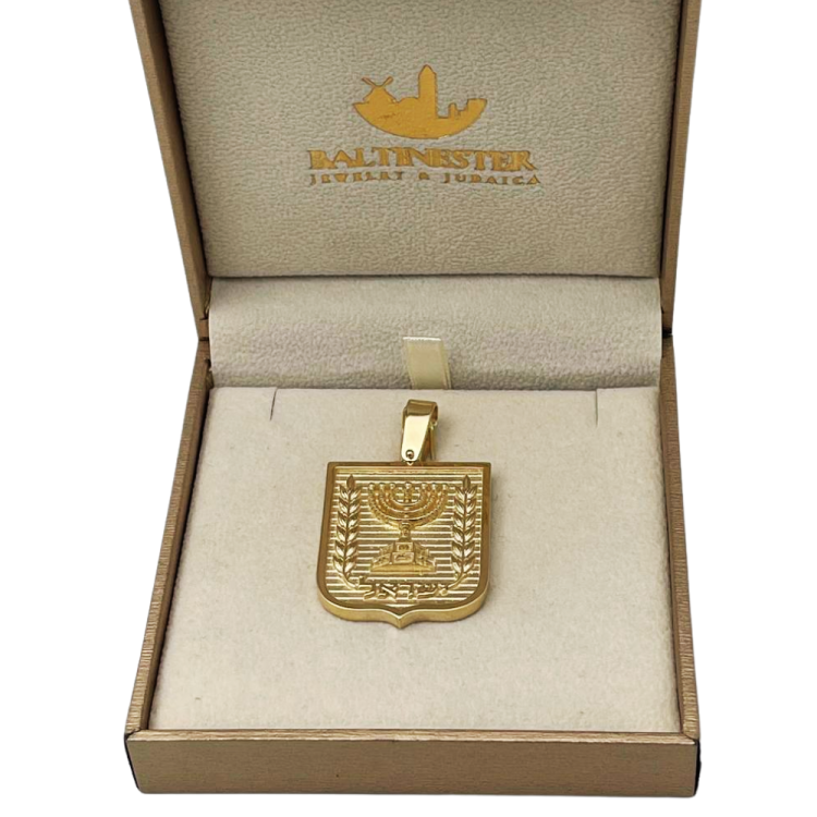 Emblem of Israel Pendant for Men in 14K Gold - Large