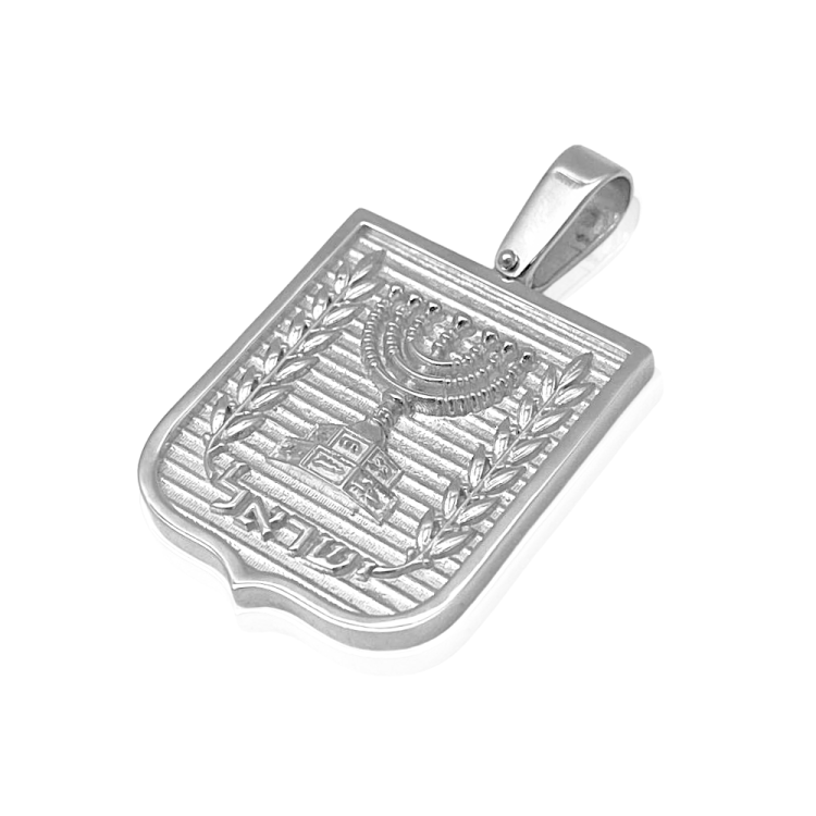 Emblem of Israel Pendant for Men in 14K Gold - Large
