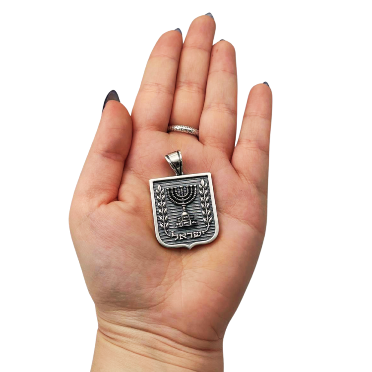 Emblem of Israel Pendant for Men in Silver - Large