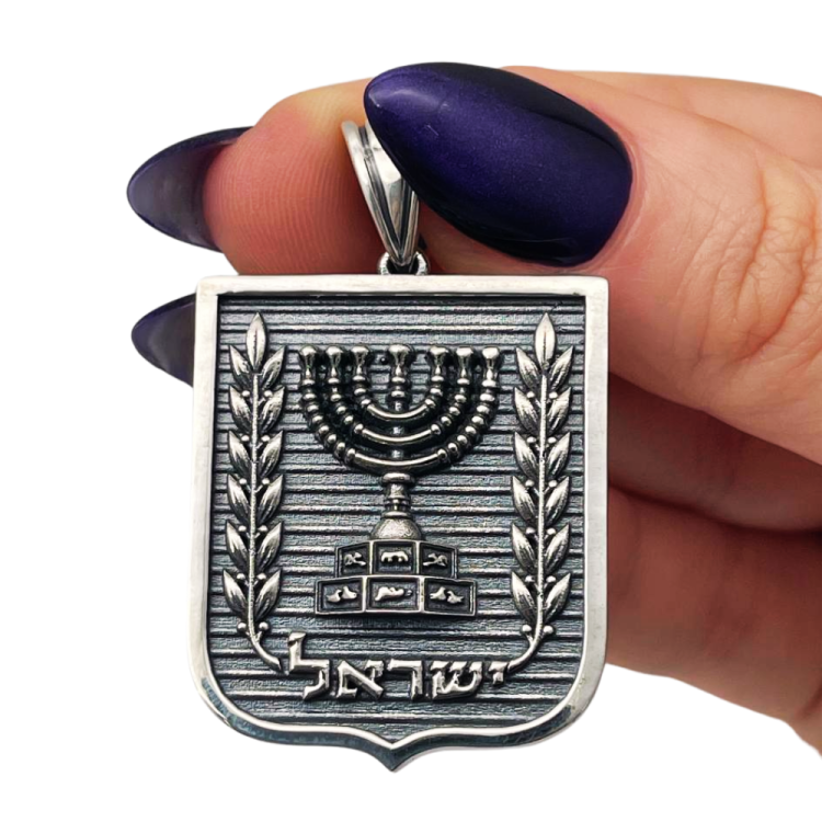 Emblem of Israel Pendant for Men in Silver - Large