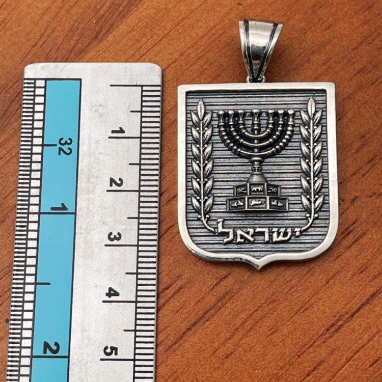 Emblem of Israel Pendant for Men in Silver - Large