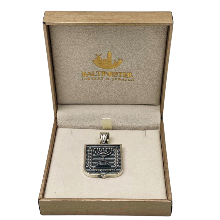 Emblem of Israel Pendant for Men in Silver - Large