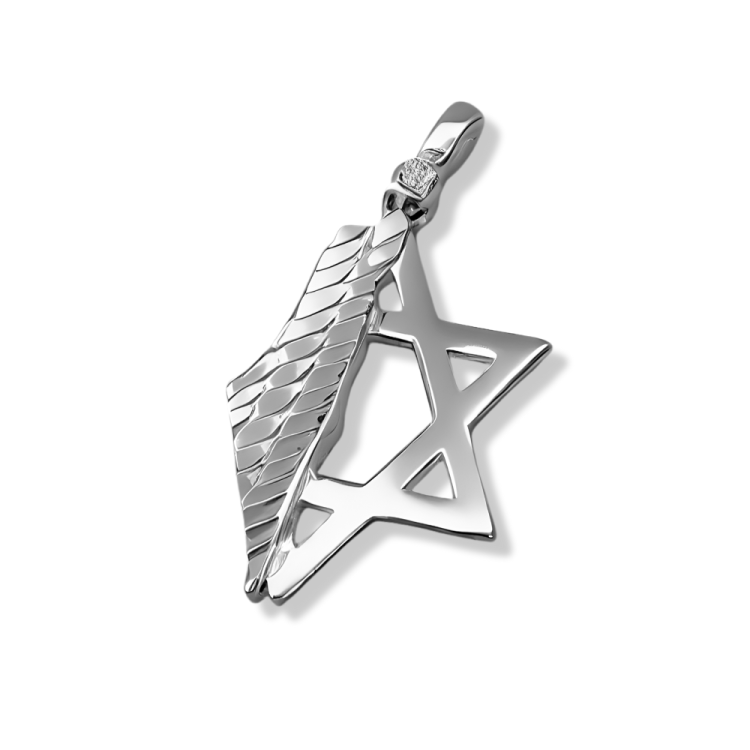 Star of David & Israel Map Pendant 14K Gold with Diamond Accent