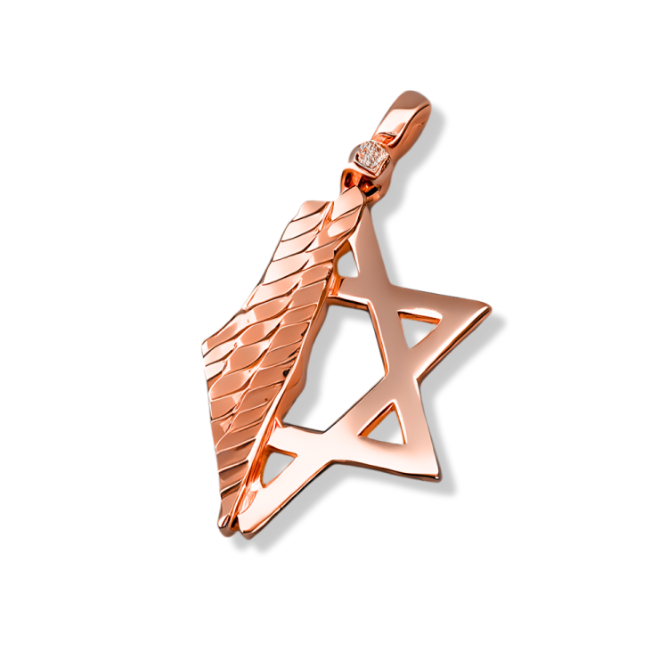 Star of David & Israel Map Pendant 14K Gold with Diamond Accent