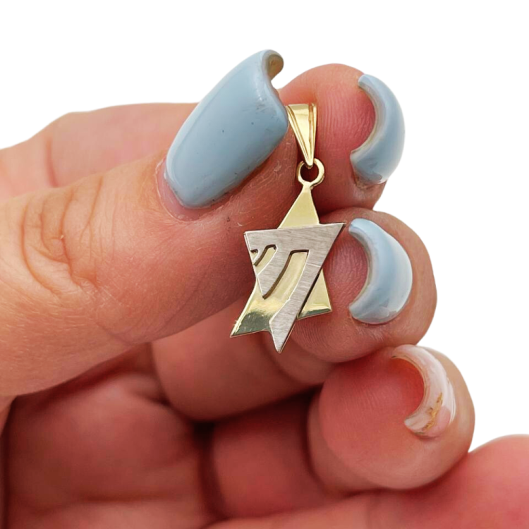 14K Gold Magen David & Chai Union Pendant