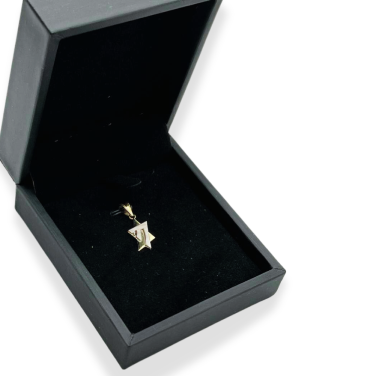 14K Gold Magen David & Chai Union Pendant