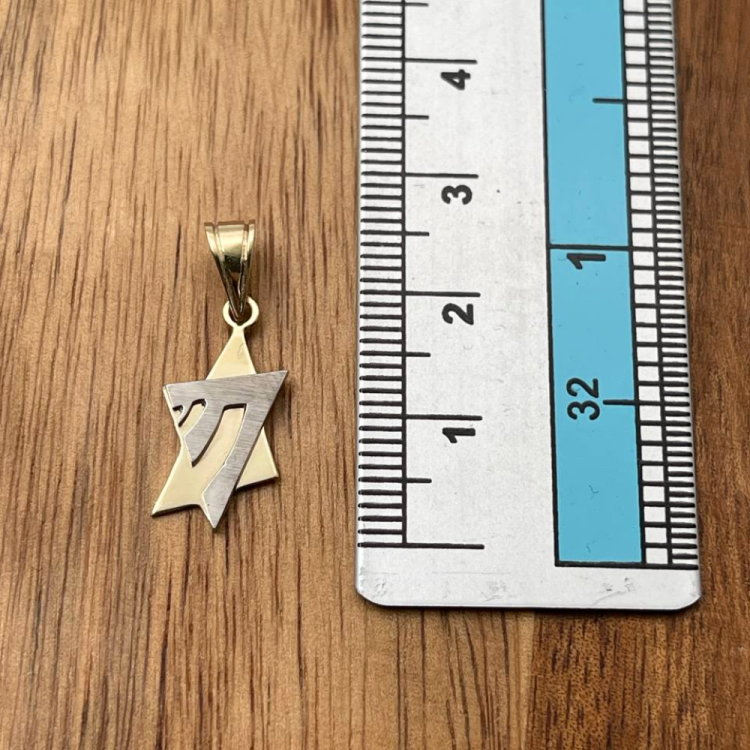 14K Gold Magen David & Chai Union Pendant