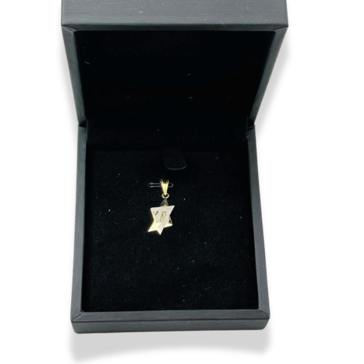 14K Gold Magen David & Chai Union Pendant